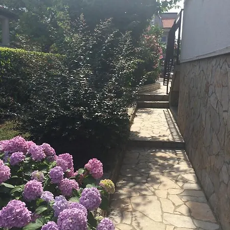 Mirela Apartman