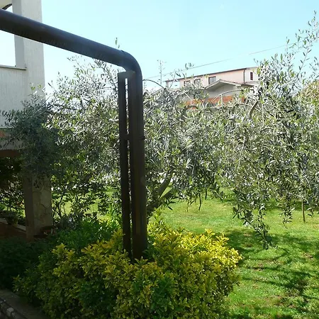 Mirela Apartament
